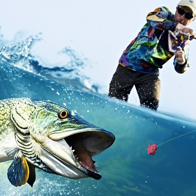 500g Universal Powder Fishing Bait