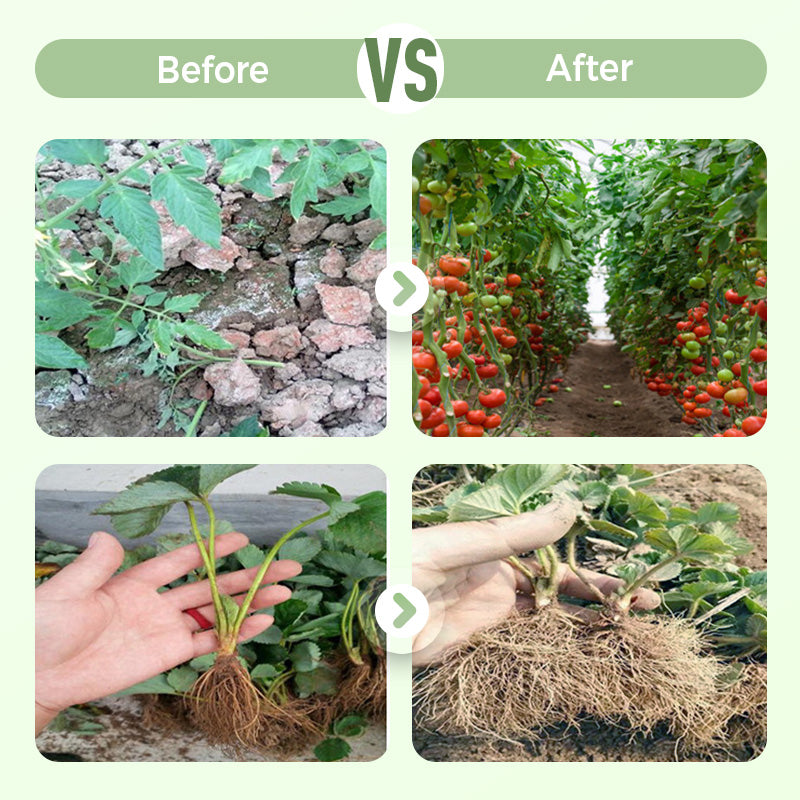 Highly Effective Soil Conditioner