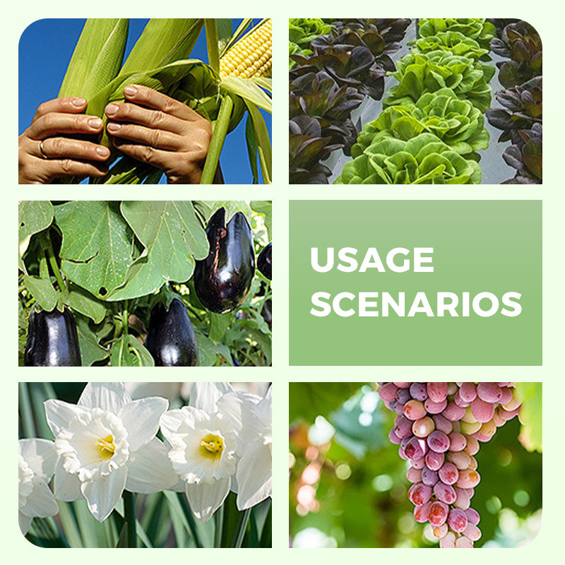 Highly Effective Soil Conditioner