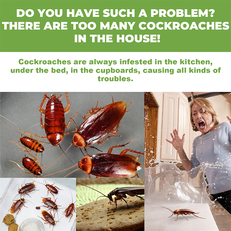 Natural & Eco-Friendly Powerful Cockroach Bait