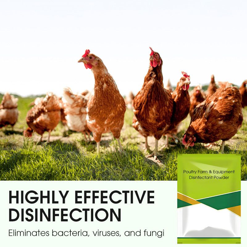 🔥 100g Poultry Farm & Equipment Disinfectant Powder 🐓