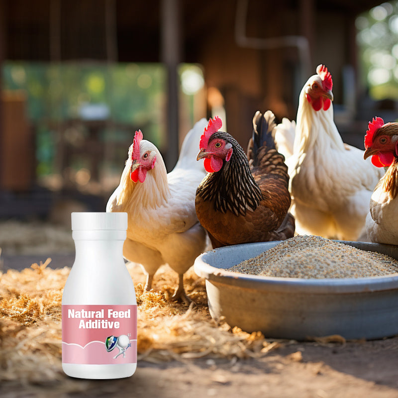 ⏳   Limited Stock! 🔥Natural Feed Additive for Poultry