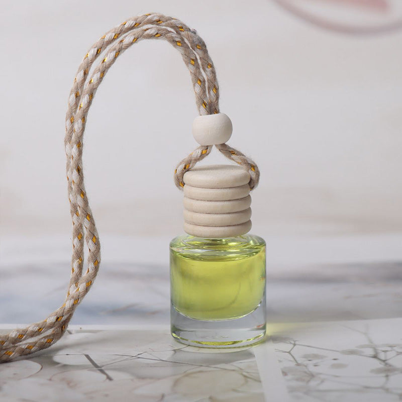 Mini Hanging Essential Oil Fragrance for Car Interiors