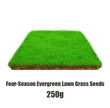 🌱  Cold-resistant, drought-resistant, pet-friendly garden grass seeds - evergreen lawn grass seeds