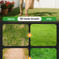 Four-Season Evergreen Lawn Grass Seeds