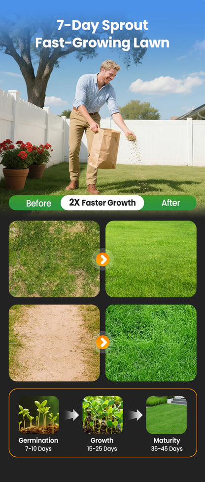 🌱  Cold-resistant, drought-resistant, pet-friendly garden grass seeds - evergreen lawn grass seeds