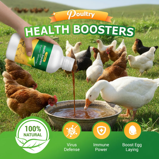 Multi-Symptom Oral Solution for Poultry