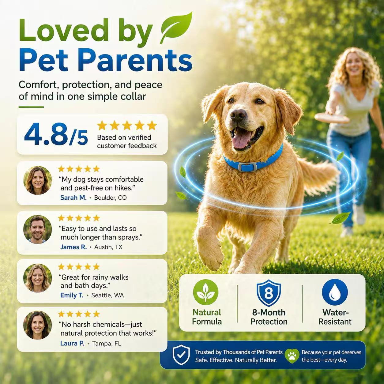 ⏳Limited-time 50% off⏰Natural Essential Oil Pet Pest Repellent Collar🐶🛡️