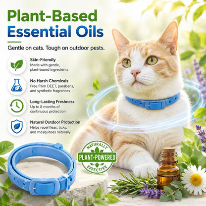 ⏳Limited-time 50% off⏰Natural Essential Oil Pet Pest Repellent Collar🐶🛡️