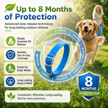⏳Limited-time 50% off⏰Natural Essential Oil Pet Pest Repellent Collar🐶🛡️