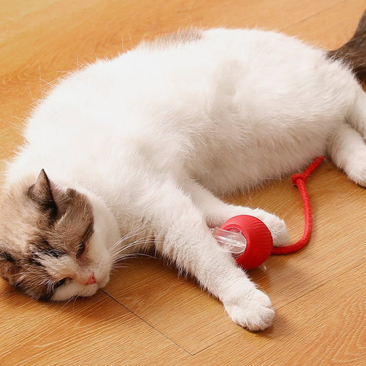 🐾 LIMITED-TIME 50% OFF! 💥 Smart Automatic Rolling Pet Ball – Obstacle Avoidance, Quick Charge, Interactive ✨