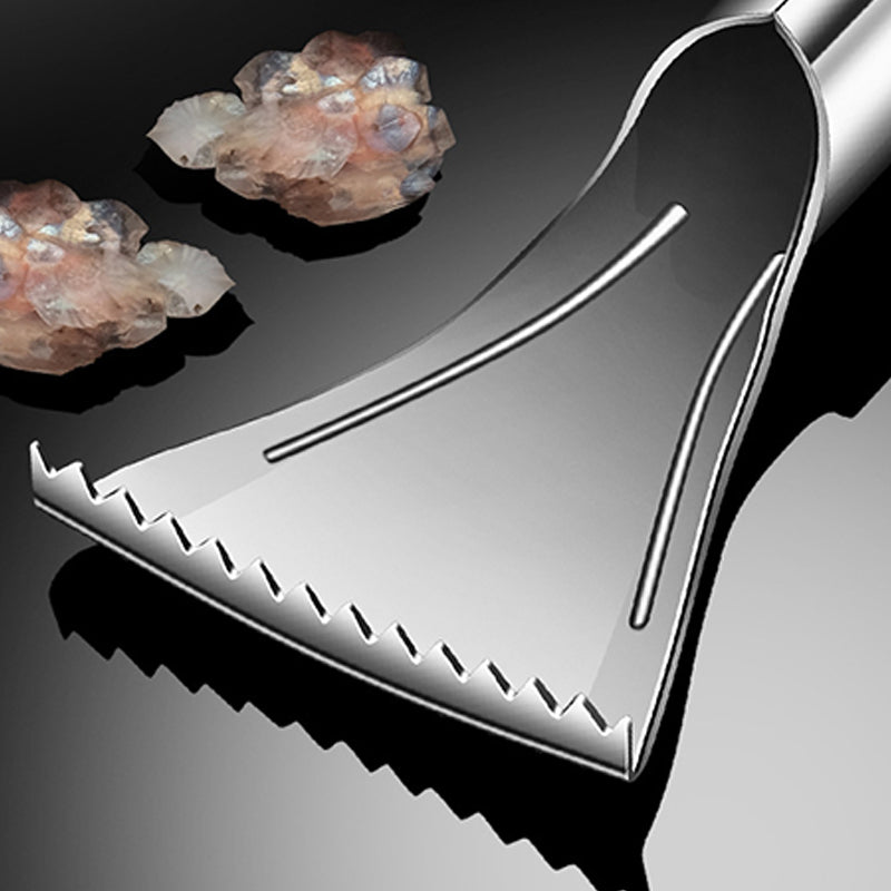 Sharp Stainless Steel Fish Scaler