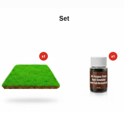 🌱  Cold-resistant, drought-resistant, pet-friendly garden grass seeds - evergreen lawn grass seeds