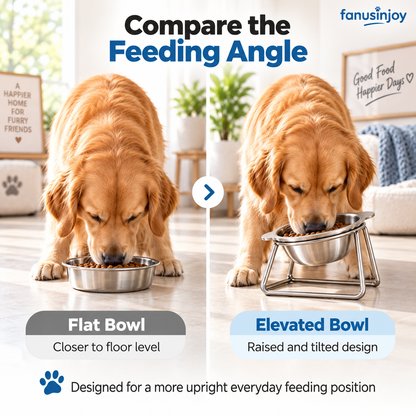 🎃 Halloween Special: 55% off! 🥣 15° Tilted Orthopaedic Feeding Bowl