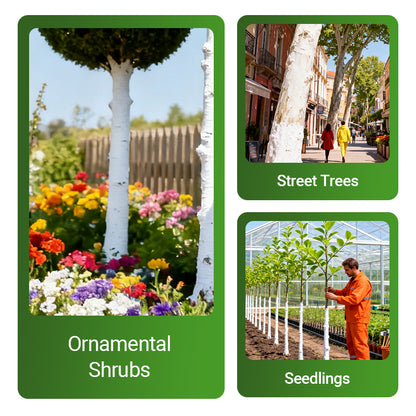 Long-Lasting Tree Whitewash Agent