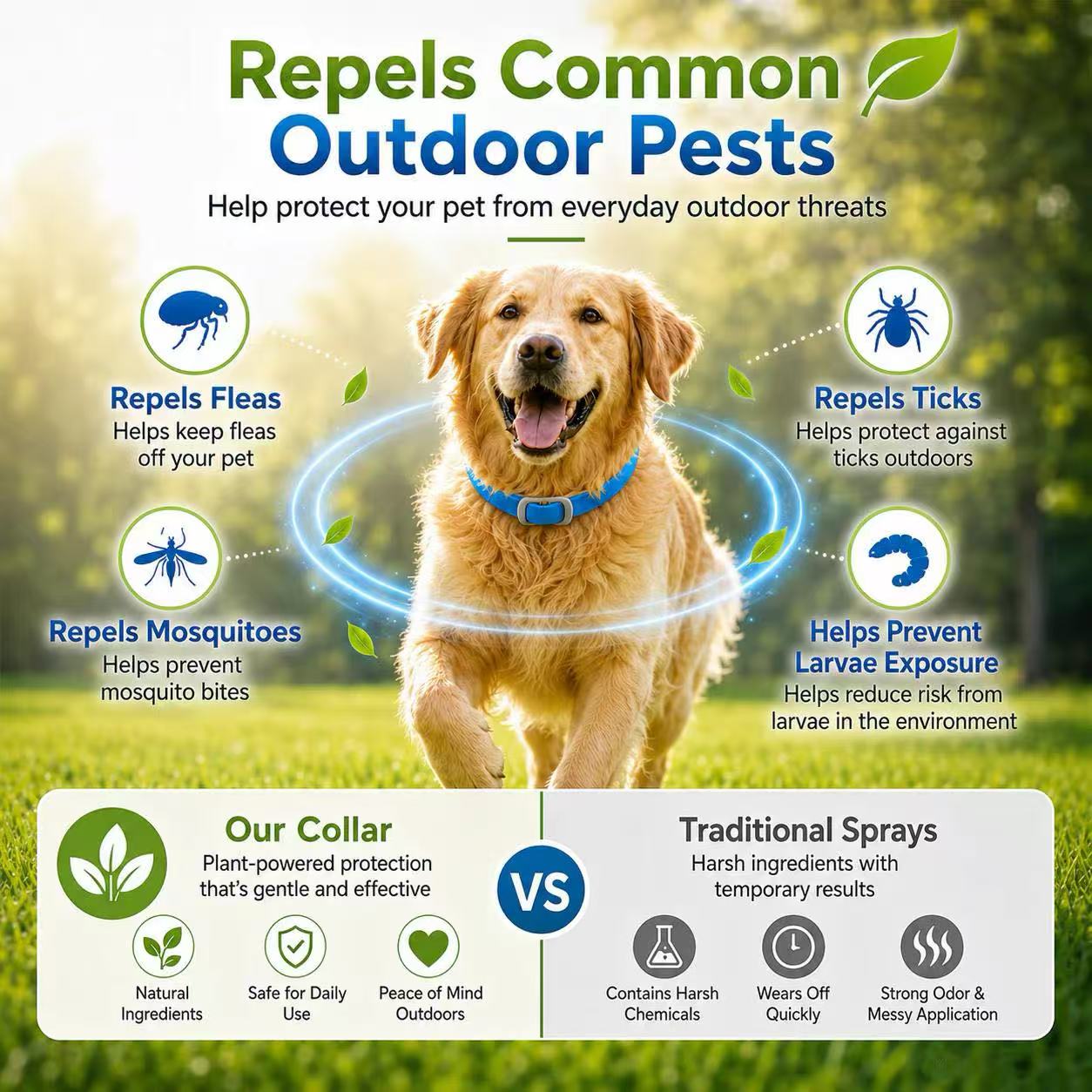 ⏳Limited-time 50% off⏰Natural Essential Oil Pet Pest Repellent Collar🐶🛡️