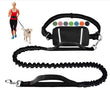 🔥Summer Hot Sale 49% OFf - Hands Free Dog Leash with Zipper Pouch🐕