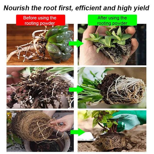 ⚡Strong Rooting Powder Microbial Fertilizer 🌱