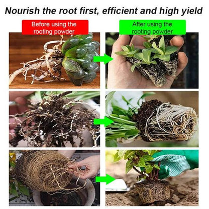 ⚡Strong Rooting Powder Microbial Fertilizer 🌱