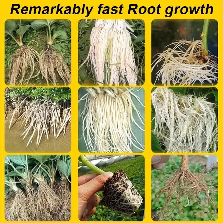 ⚡Strong Rooting Powder Microbial Fertilizer 🌱