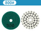 2-Inch 55mm Diamond Dry Polishing Pad for Stone & Glass