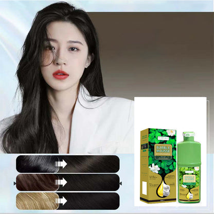 💥Long‑Lasting Plant‑Based Foam Hair Dye｜Ammonia‑Free Easy DIY At‑Home Foam Hair Color