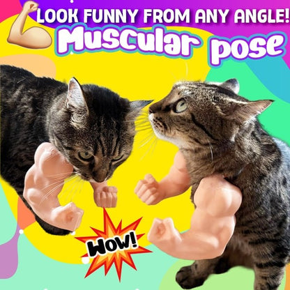 💪One-Punch Man!!💪🐱Paw-lloween Protein Monster is Coming🎃Cat Funny Muscle Arms
