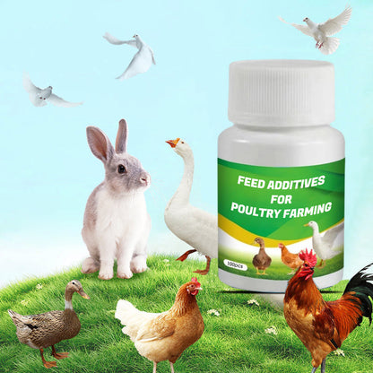 Feed Additives for Poultry Farming