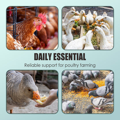 Feed Additives for Poultry Farming