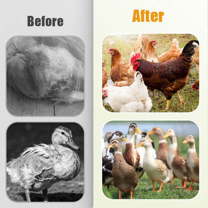 Natural Internal & External Poultry Dewormer for Chickens