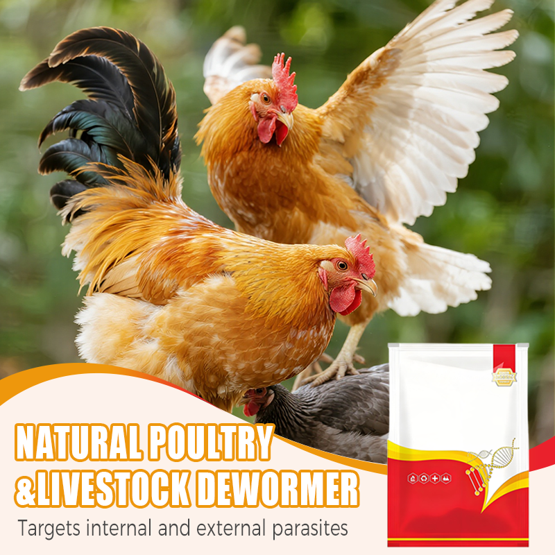 Natural Internal & External Poultry Dewormer for Chickens
