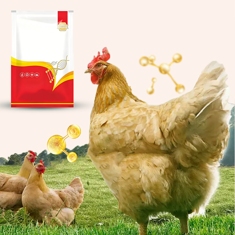Natural Internal & External Poultry Dewormer for Chickens