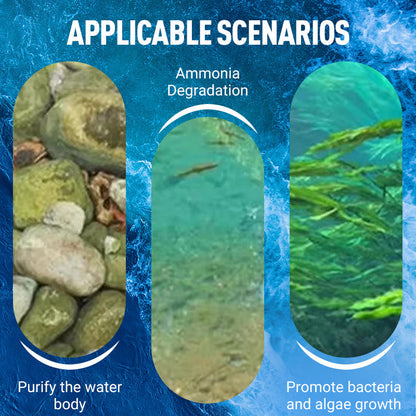 Highly Concentrated EM Bacterial Powder for Aquaculture