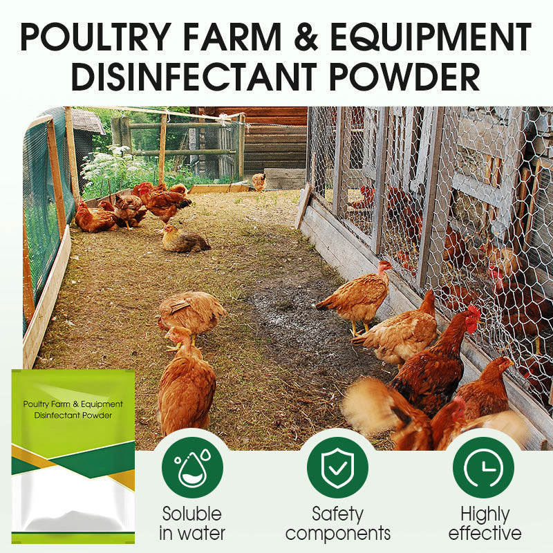 🔥 100g Poultry Farm & Equipment Disinfectant Powder 🐓