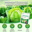 🌱Professional-Grade Cabbage Nutrient 🥬