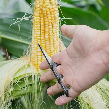 Corn Husker & Kernel Remover Tool