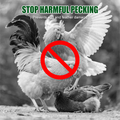Anti-Pecking Poultry Supplement for Chickens