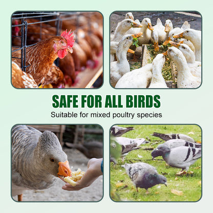 Anti-Pecking Poultry Supplement for Chickens