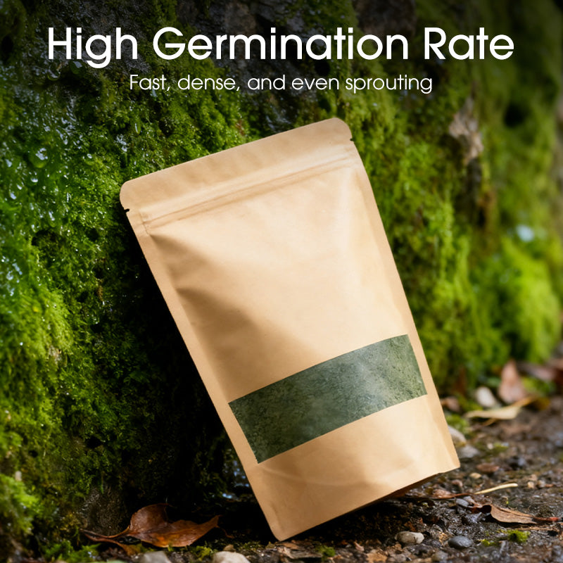 Premium-Grade Moss Spore Powder