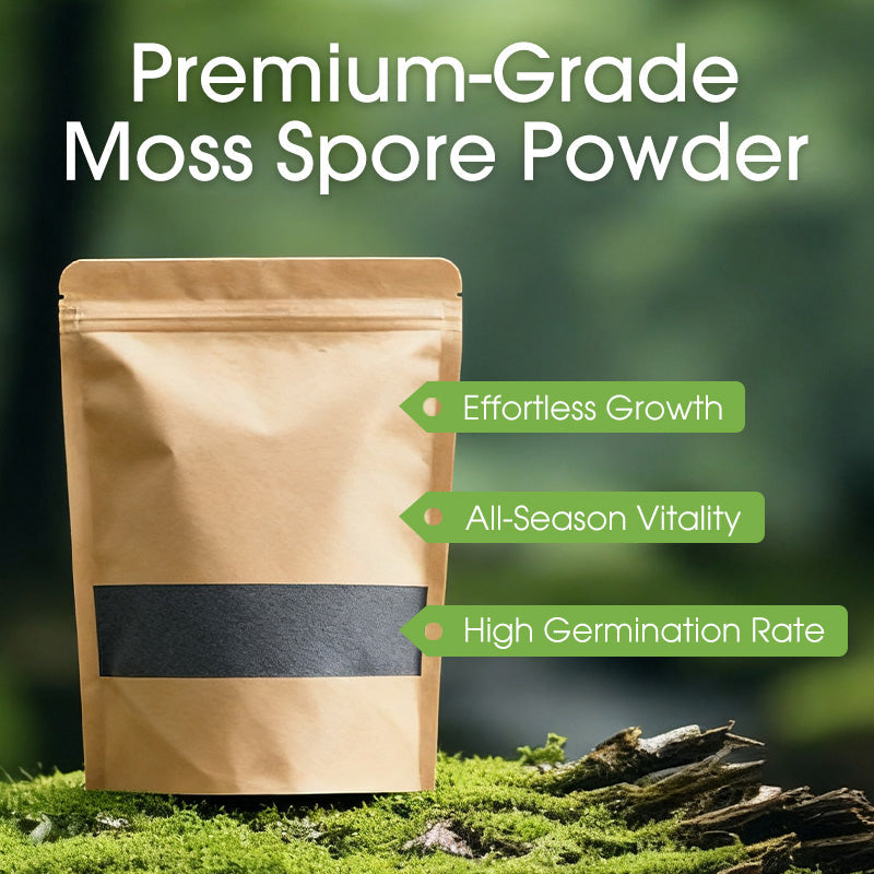 Premium-Grade Moss Spore Powder