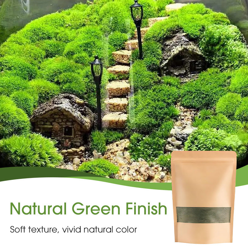 Premium-Grade Moss Spore Powder