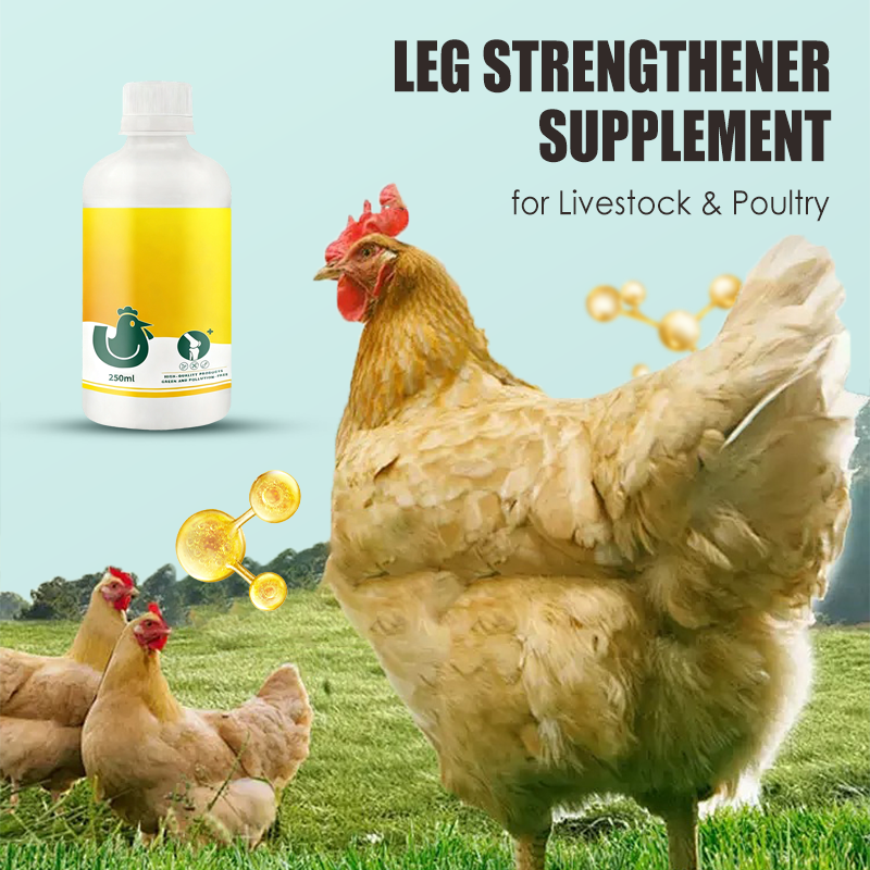 Leg Strengthener Supplement for Livestock & Poultry
