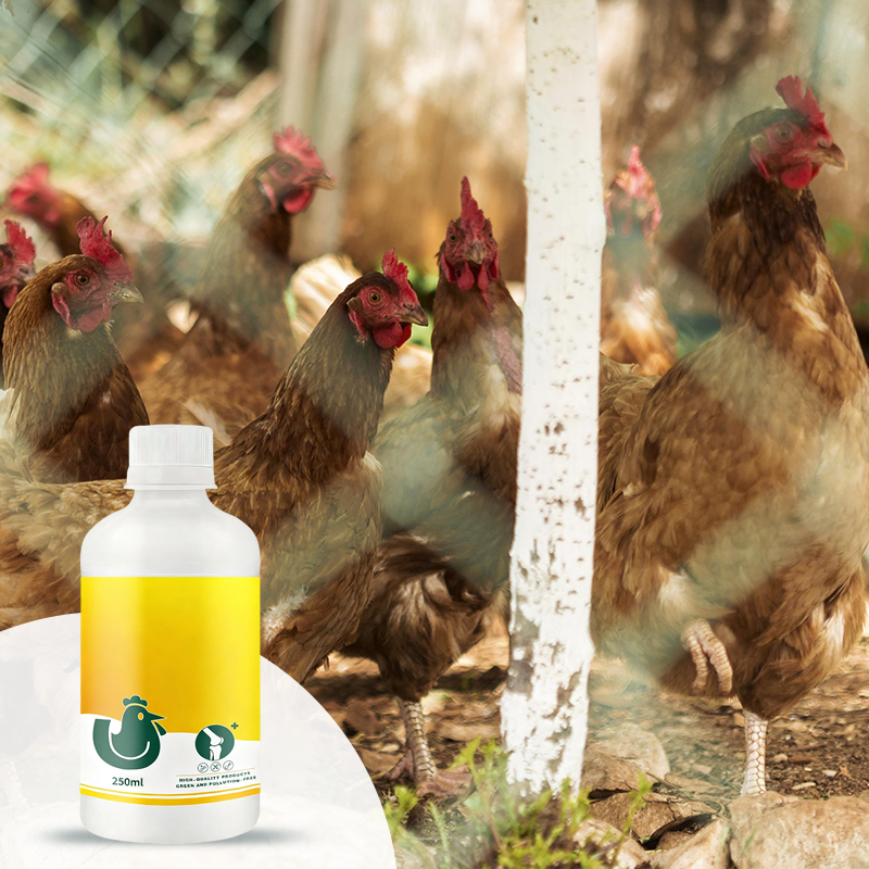 Leg Strengthener Supplement for Livestock & Poultry