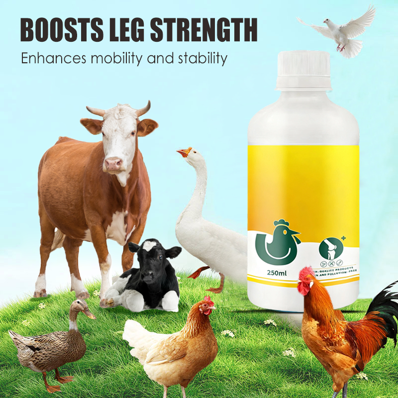 Leg Strengthener Supplement for Livestock & Poultry
