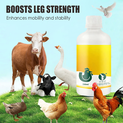 Leg Strengthener Supplement for Livestock & Poultry