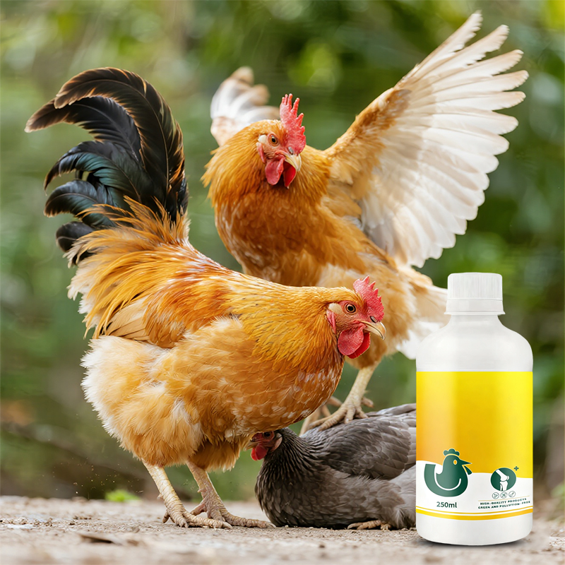 Leg Strengthener Supplement for Livestock & Poultry