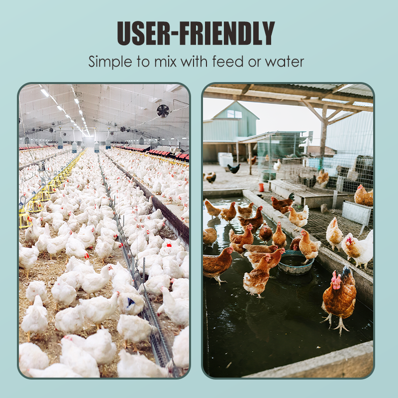 Leg Strengthener Supplement for Livestock & Poultry