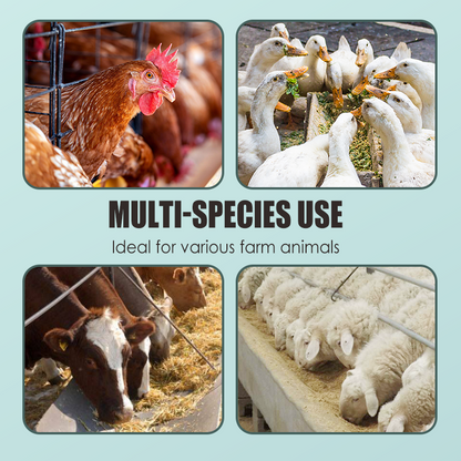 Leg Strengthener Supplement for Livestock & Poultry