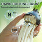 Hydroponic Plant Nutrient Solution