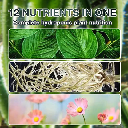 Hydroponic Plant Nutrient Solution